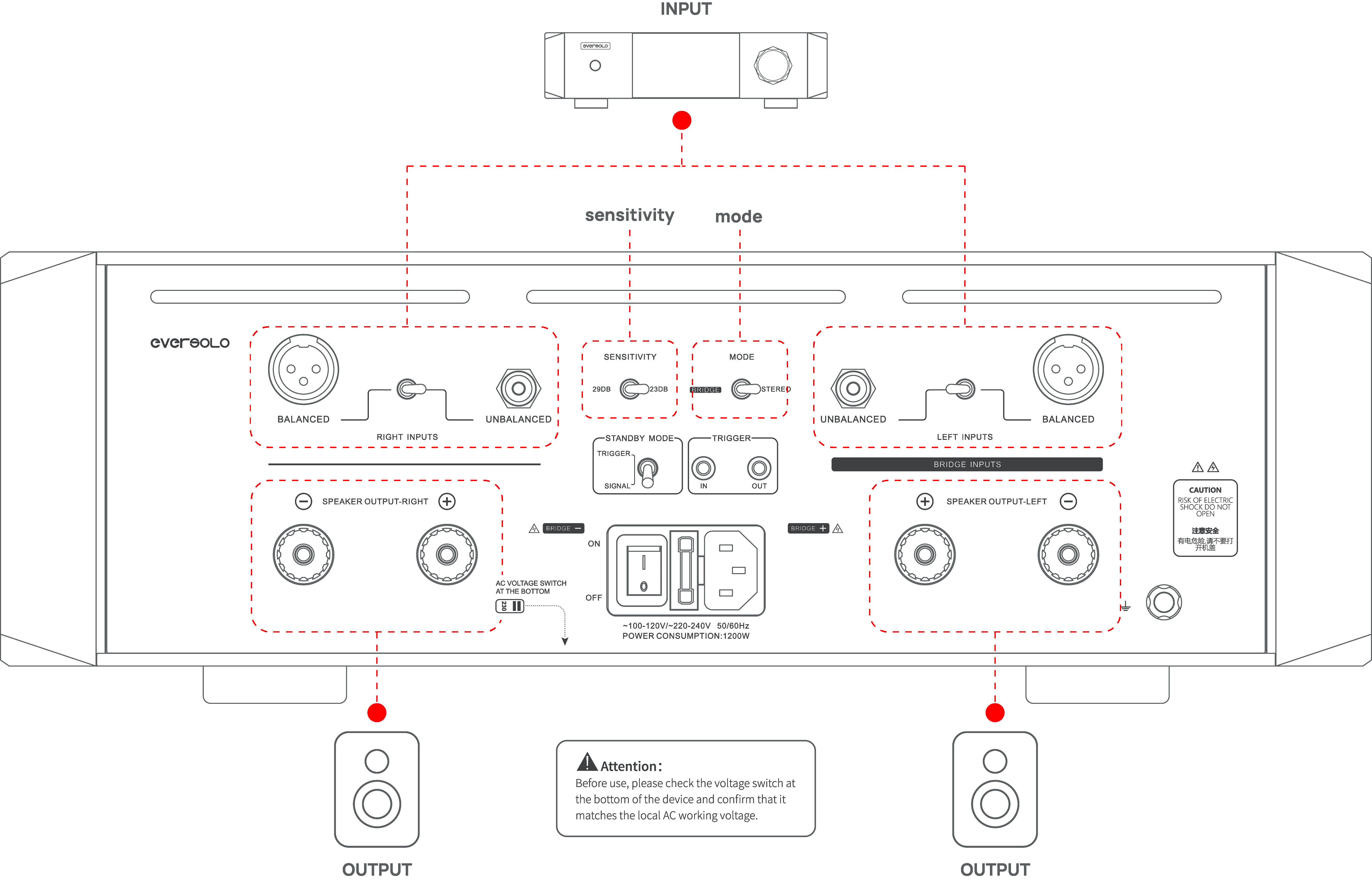 EverSolo DMP-A10